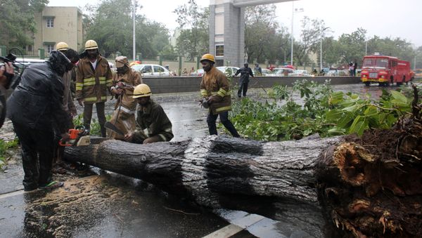 Rescue members cut a tree that fell on a road after it was uprooted by strong winds in Chennai, India, December 12, 2016 Rescue members cut a tree that fell on a road after it was uprooted by strong winds in Chennai, India, December 12, 2016 - Sputnik International