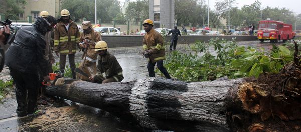 Rescue members cut a tree that fell on a road after it was uprooted by strong winds in Chennai, India, December 12, 2016 - Sputnik International