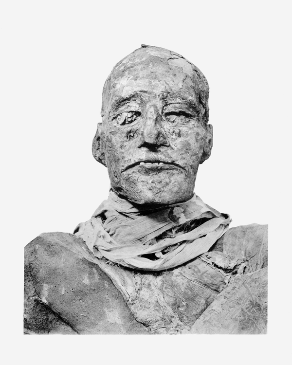 The mummy of Ramesses III - Sputnik International