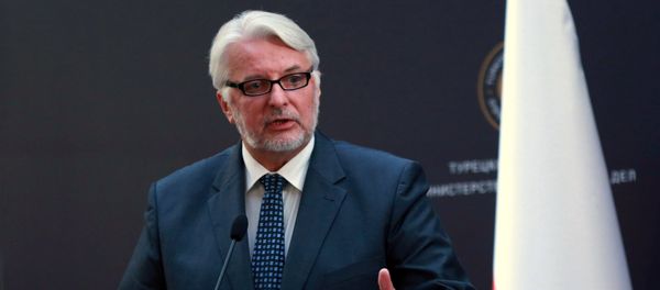 Polish Foreign Minister Witold Waszczykowski holds a joint press conference after a tripartite meeting at the Ankara Palace on August 25, 2016 - Sputnik International