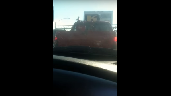 Evil Friend Causes Road Headache - Sputnik International