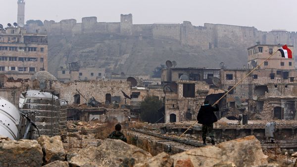A member of forces loyal to Syria's President Bashar al-Assad attempts to erect the Syrian national flag at the Umayyad mosque, in the government-controlled area of Aleppo, during a media tour, Syria December 13, 2016 - Sputnik International