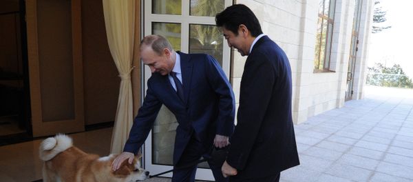 Russian President Vladimir Putin, left, and Japanese Prime Minister Shinzo Abe during a meeting at the Bocharov Ruchei residence - Sputnik International