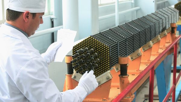 Nuclear power reactor fuel assembly at the Novosibirsk Chemical Concentrate Works - Sputnik International