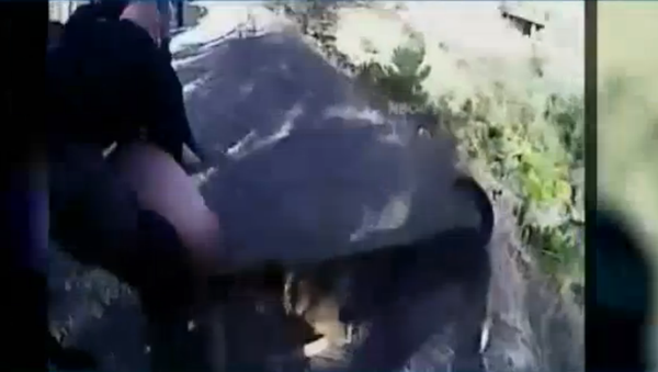 Police Dog Attacks Naked, Unarmed Man in San Diego - Sputnik International