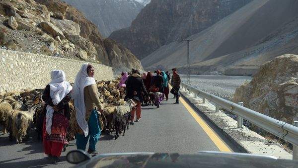 Local people control their sheep and goats at the Karakoram highway in Gulmit village of Hunza valley in northern Pakistan - Sputnik International