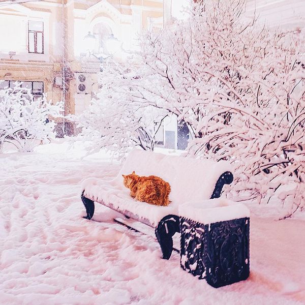 Moscow Captured as a Winter Wonderland Moscow Captured as a Winter Wonderland - Sputnik International