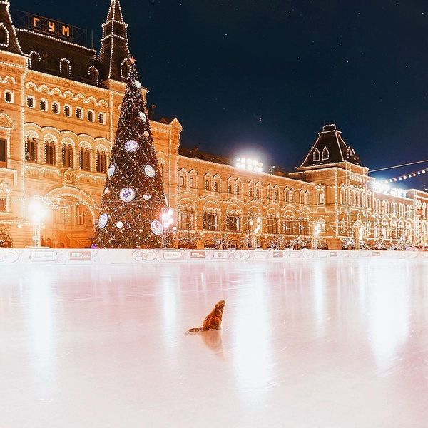 Moscow Captured as a Winter Wonderland Moscow Captured as a Winter Wonderland - Sputnik International