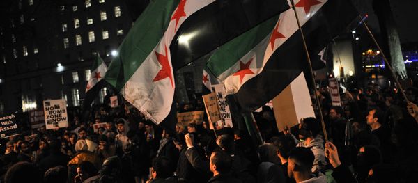 Protesters wave flags during a demonstration in solidarity with the inhabitants of the embattled Syrian city of Aleppo, outside the entrance to Downing Street, in central London on December 13, 2016. Protesters wave flags during a demonstration in solidarity with the inhabitants of the embattled Syrian city of Aleppo, outside the entrance to Downing Street, in central London on December 13, 2016. - Sputnik International