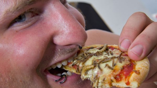 Insects pizza (File) - Sputnik International