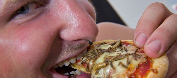 Insects pizza (File) Insects pizza (File) - Sputnik International