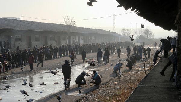 Migrants stand in line to receive free food outside a derelict customs warehouse in Belgrade, Serbia December 21, 2016 Migrants stand in line to receive free food outside a derelict customs warehouse in Belgrade, Serbia December 21, 2016 - Sputnik International