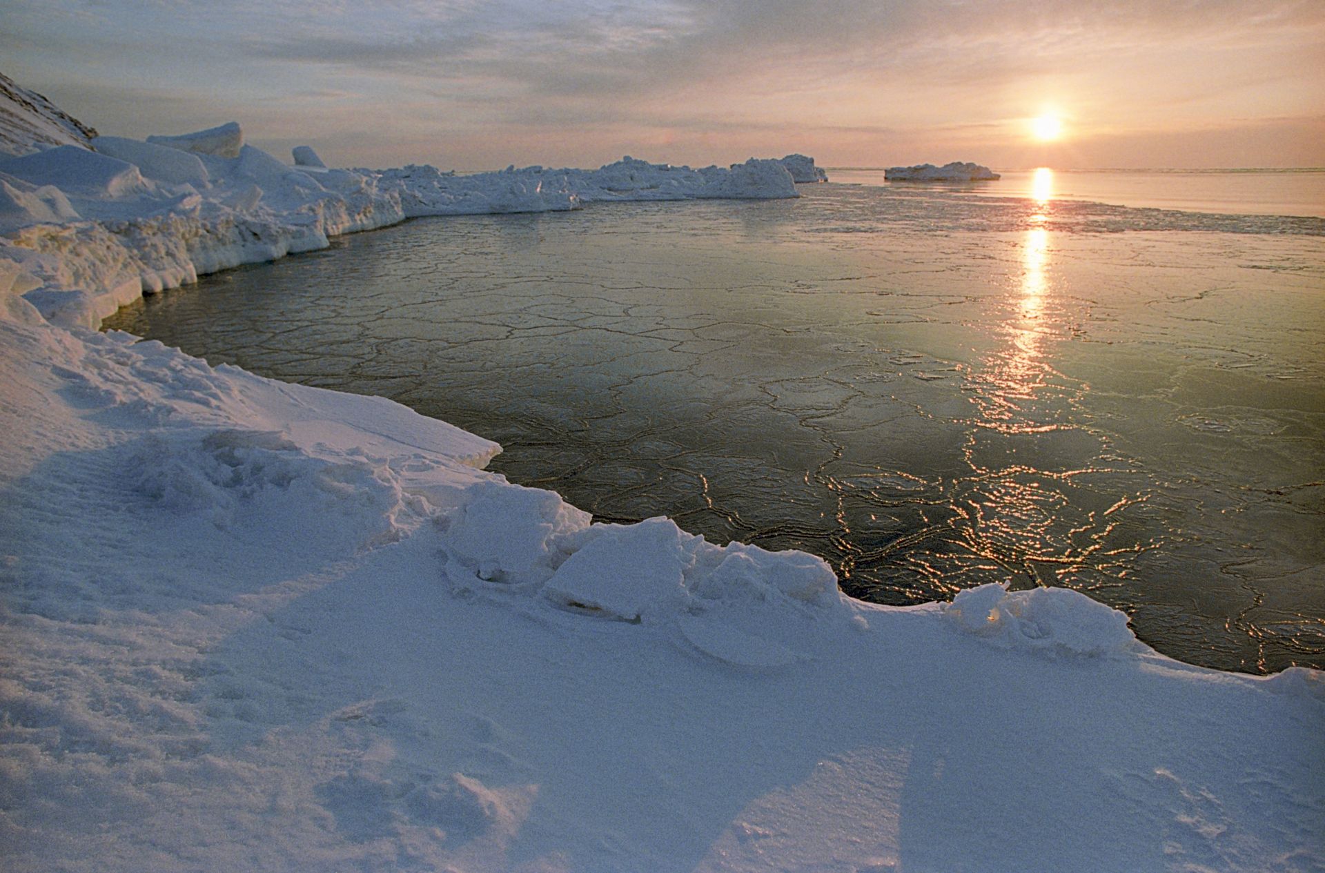 Pivot to Arctic: What's Behind US-NATO Military Buildup in High North? - Sputnik International, 1920, 22.05.2021