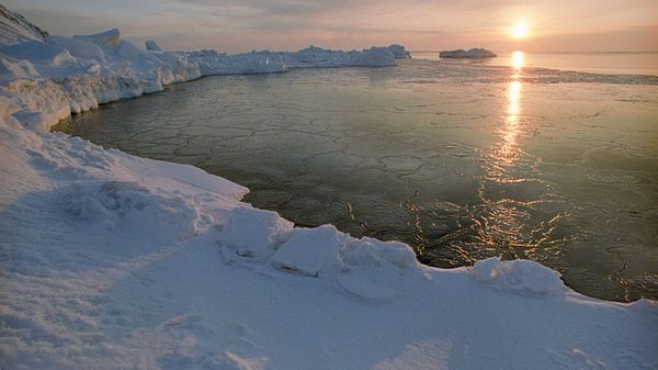 An Arctic dawn. (File) An Arctic dawn. (File) - Sputnik International