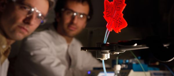 Artificial leaf developed by researchers at Eindhoven University of Technology, Netherlands Artificial leaf developed by researchers at Eindhoven University of Technology, Netherlands - Sputnik International