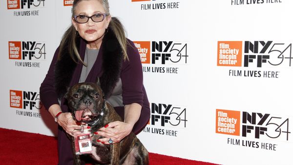 Carrie Fisher with her Service Dog Gary - Sputnik International