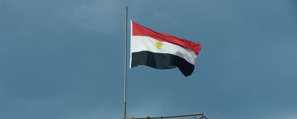 Egypti's national flag on a building in Cairo Egypti's national flag on a building in Cairo - Sputnik International