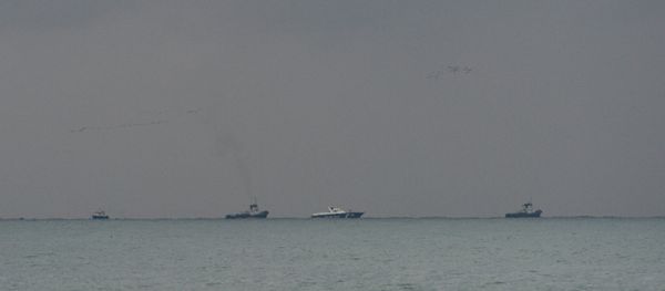 A Russian military plane crashed in the Black Sea - Sputnik International