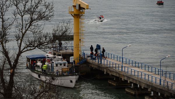 Russian Defense Ministry's TU-154 aircraft crash site in Sochi - Sputnik International