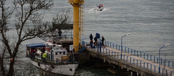 Russian Defense Ministry's TU-154 aircraft crash site in Sochi - Sputnik International