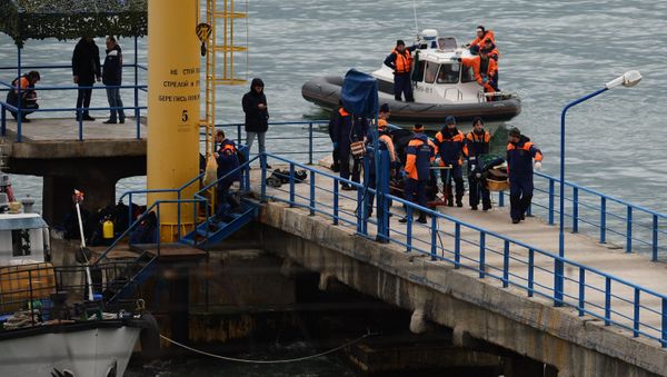 Russian Defense Ministry's TU-154 aircraft crash site in Sochi Russian Defense Ministry's TU-154 aircraft crash site in Sochi - Sputnik International