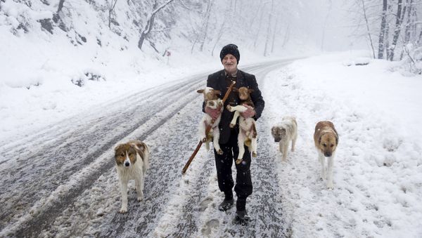 Snowbound Villages in Iranian Talysh Mountains - Sputnik International