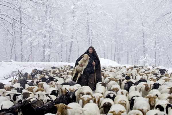 Snowbound Villages in Iranian Talysh Mountains - Sputnik International