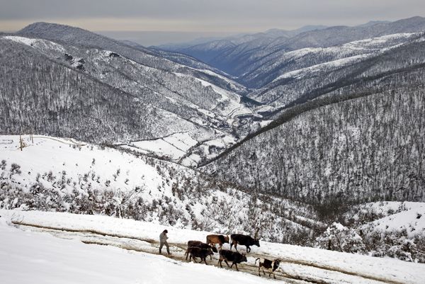 Snowbound Villages in Iranian Talysh Mountains - Sputnik International