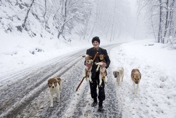 Snowbound Villages in Iranian Talysh Mountains - Sputnik International