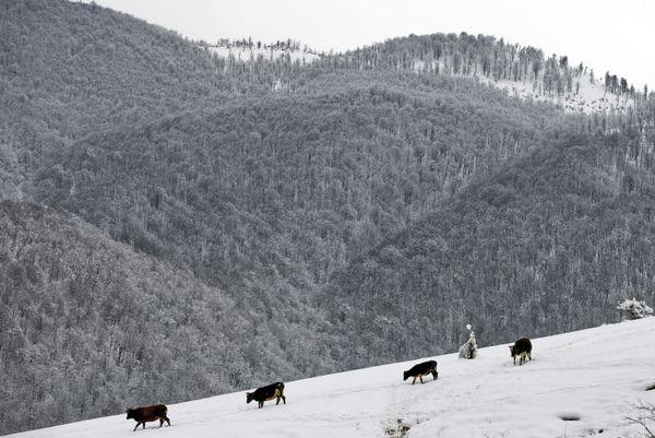 Snowbound Villages in Iranian Talysh Mountains - Sputnik International