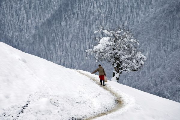 Snowbound Villages in Iranian Talysh Mountains - Sputnik International