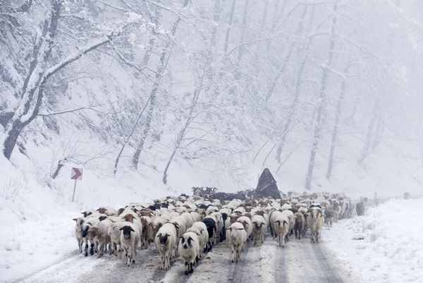 Snowbound Villages in Iranian Talysh Mountains - Sputnik International