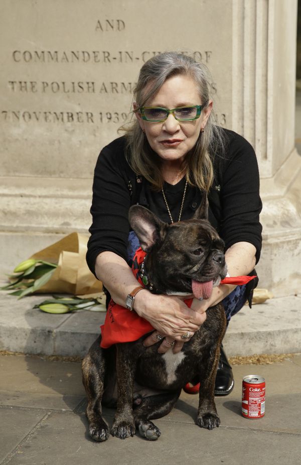 Carrie Fisher Carrie Fisher - Sputnik International
