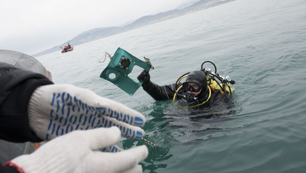 A Russian Emergency Ministry diver lifts a fragment of a plane in the Black Sea, outside Sochi, Russia, Tuesday, Dec. 27, 2016 A Russian Emergency Ministry diver lifts a fragment of a plane in the Black Sea, outside Sochi, Russia, Tuesday, Dec. 27, 2016 - Sputnik International