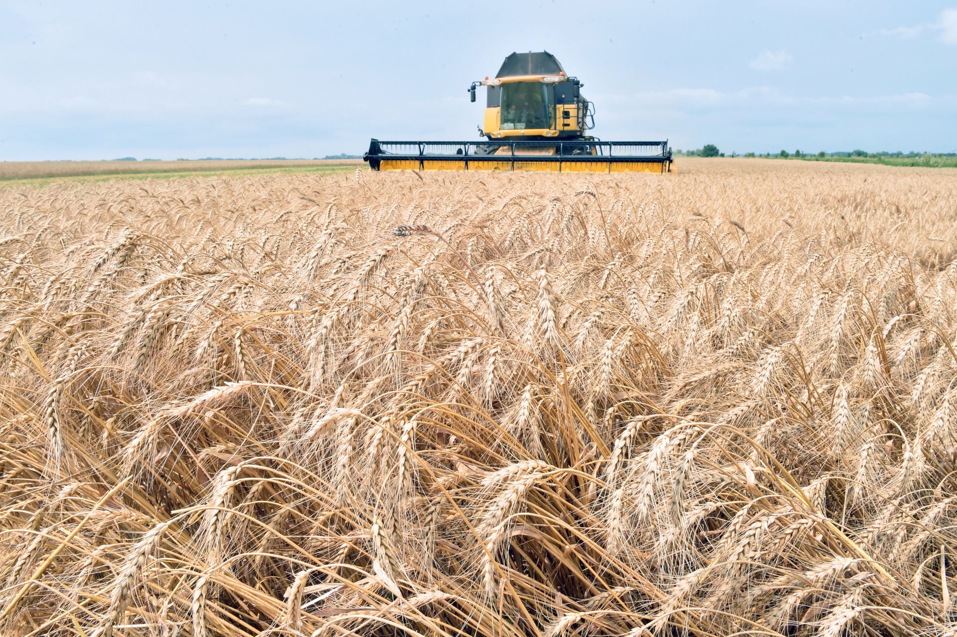 A combine harvester gathers grain from a field in Ukraine (file). - Sputnik International, 1920, 30.06.2022