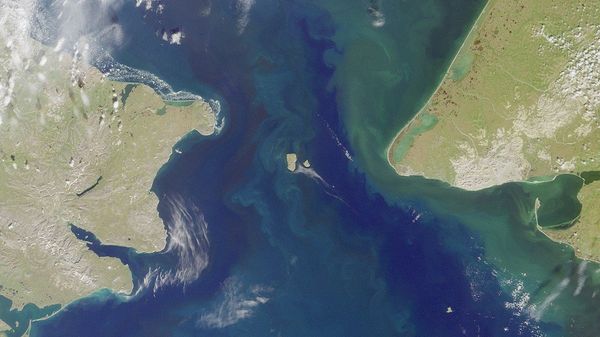 The Bering Strait, seen here in a satellite image, is the body of water that separates North America from Russia.  - Sputnik International