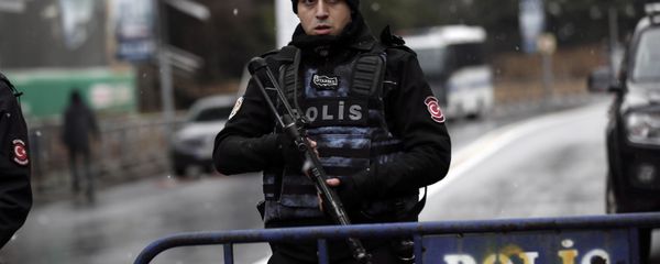 Turkish police officer. (File) - Sputnik International