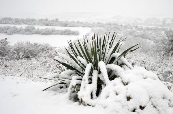 Winter Wonders of Crimea Winter Wonders of Crimea - Sputnik International