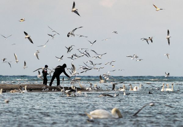 Winter Wonders of Crimea Winter Wonders of Crimea - Sputnik International