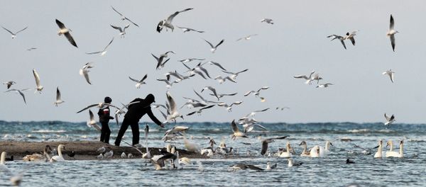 Winter Wonders of Crimea - Sputnik International