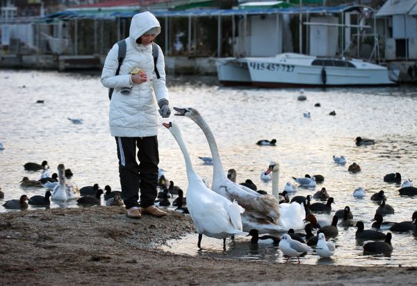 Winter Wonders of Crimea Winter Wonders of Crimea - Sputnik International