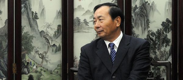 Former Civil Aviation Administration of China (CAAC) Deputy Director Xia Xinghua (File) Former Civil Aviation Administration of China (CAAC) Deputy Director Xia Xinghua (File) - Sputnik International