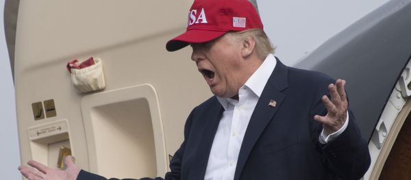 US President-elect Donald Trump US President-elect Donald Trump - Sputnik International