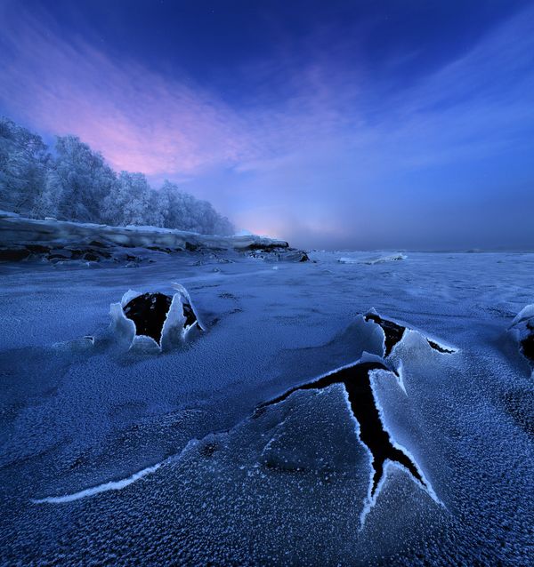Best Photos of the Wildlife of Russia 2016 Contest - Sputnik International