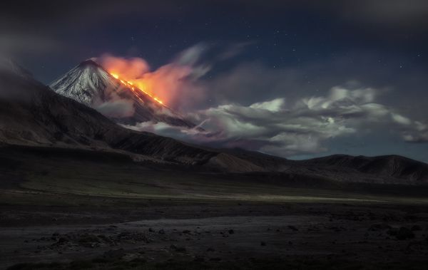 Best Photos of the Wildlife of Russia 2016 Contest - Sputnik International