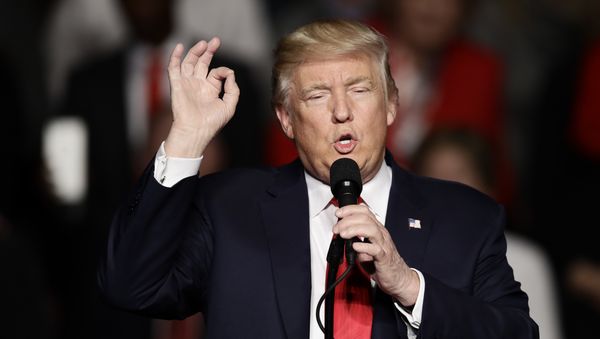 President-elect Donald Trump speaks during a rally at the Giant Center, Thursday, Dec. 15, 2016, in Hershey, Pa. - Sputnik International