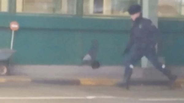 Ворона стащила паспорт на границе - Sputnik International