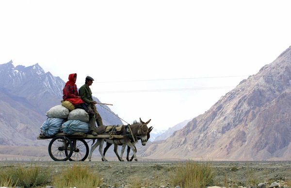Traders from across South and Central Asia flock to once-isolated Urumqi, now a city of 4 million people, in China's northwest corner Traders from across South and Central Asia flock to once-isolated Urumqi, now a city of 4 million people, in China's northwest corner - Sputnik International