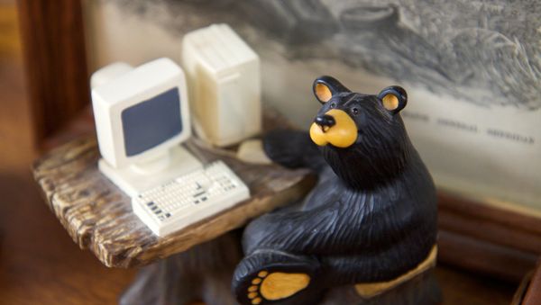 Russian hacker bear Russian hacker bear - Sputnik International