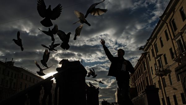 China's 'Birdman' Fights Poachers, Saves Lives - Sputnik International